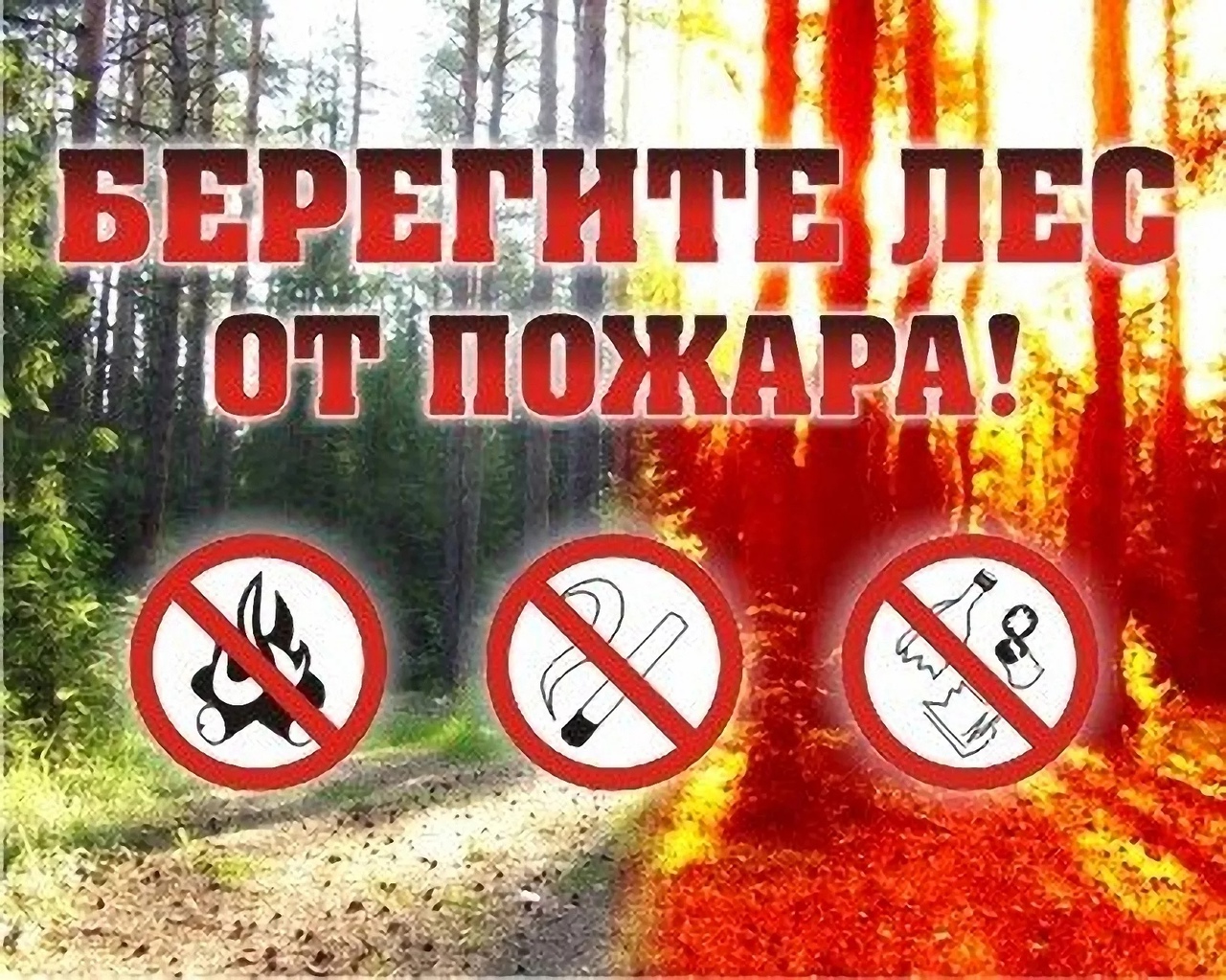 Изображение WhatsApp 2023-04-07 в 15.09.22.jpg